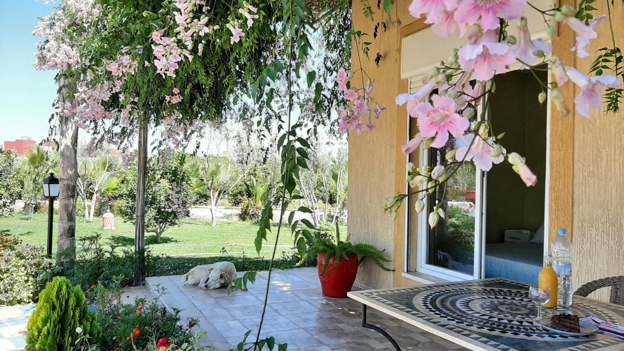 Hotel Dar Beynana Sidi Bibi Zimmer foto